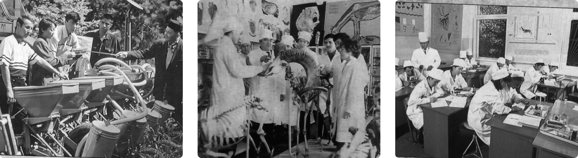 history image 1