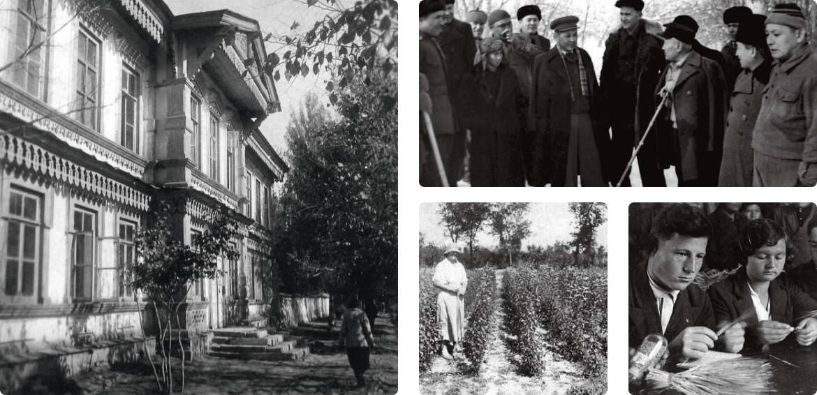 history image 1