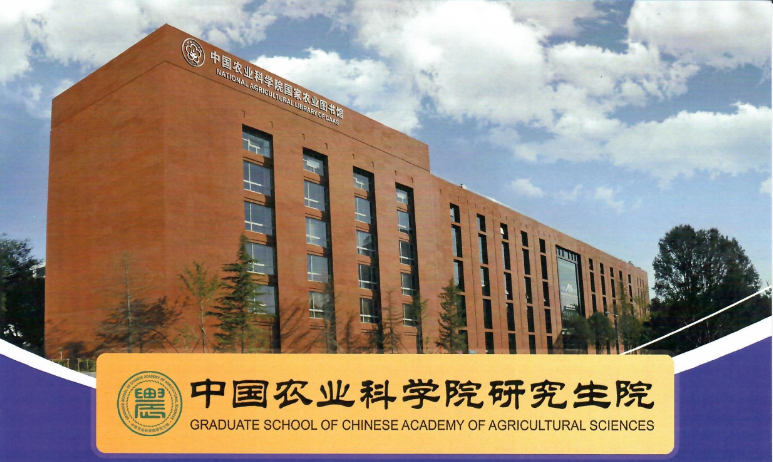 news card image