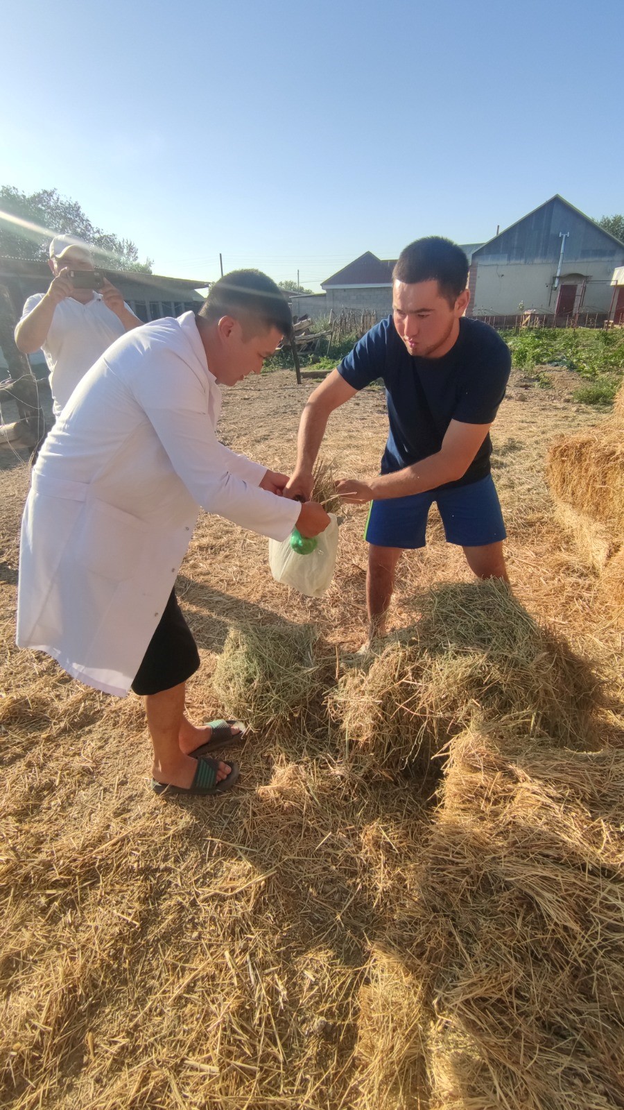 Пробиотикалық қоспалары бар құрама жем жасаудың инновациялық тәсілдері