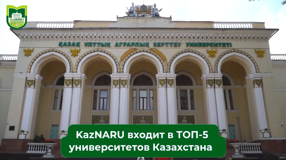 news card image